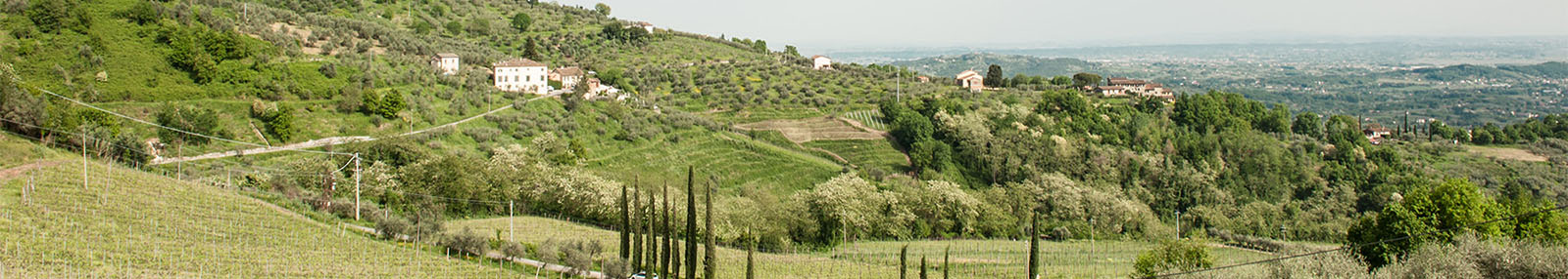 Agriturismo Al Vecchio Metato