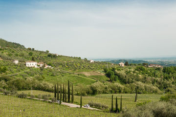 Country House Al Vecchio Metato