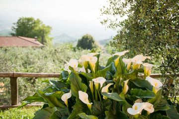 Agriturismo Al Vecchio Metato